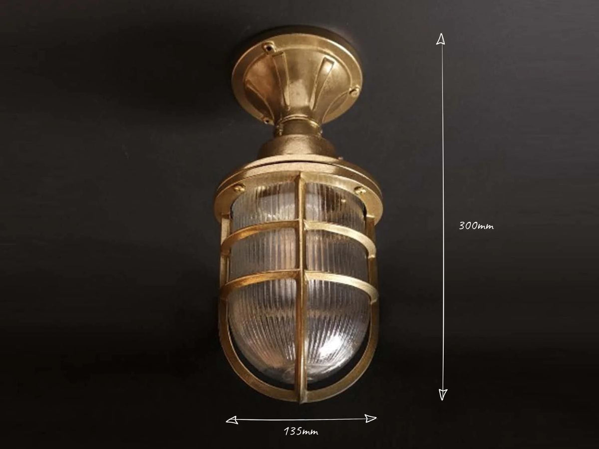 Hephaestus Outdoor Ceiling Light - IP64 rated