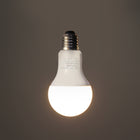 LED - A60 Frosted - 12W Bulb