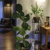Product thumbnail image