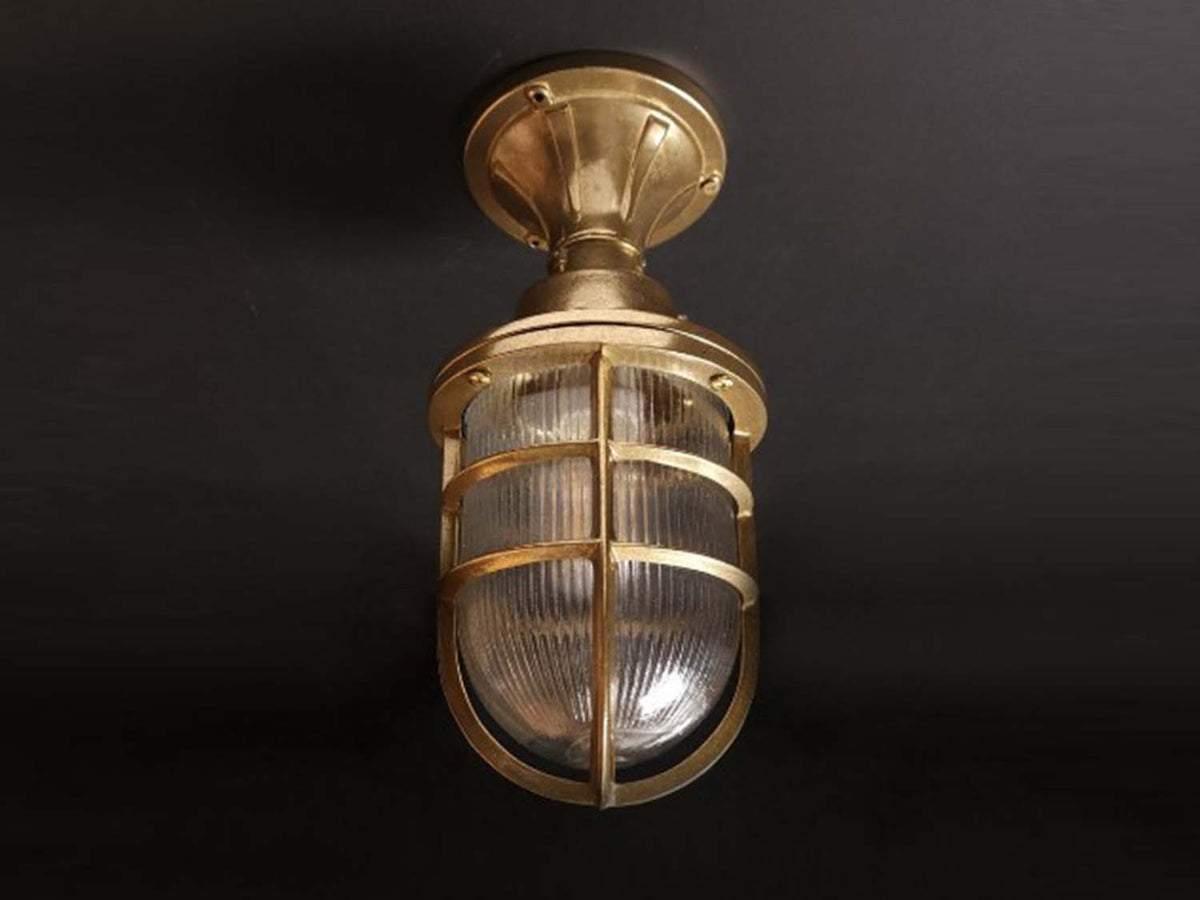 Hephaestus Outdoor Ceiling Light - IP64 rated