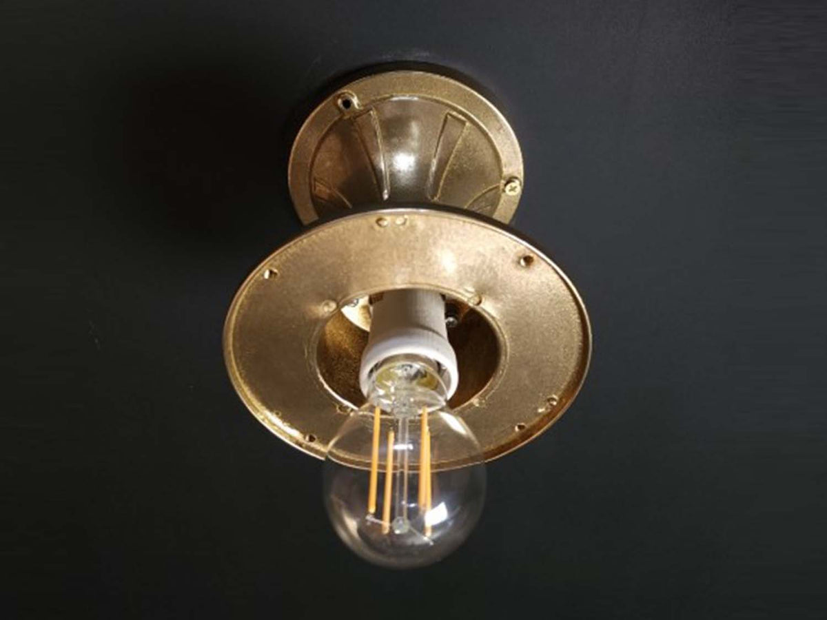 Hephaestus Outdoor Ceiling Light - IP64 rated