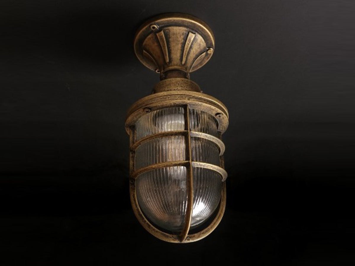 Hephaestus Outdoor Ceiling Light - IP64 rated