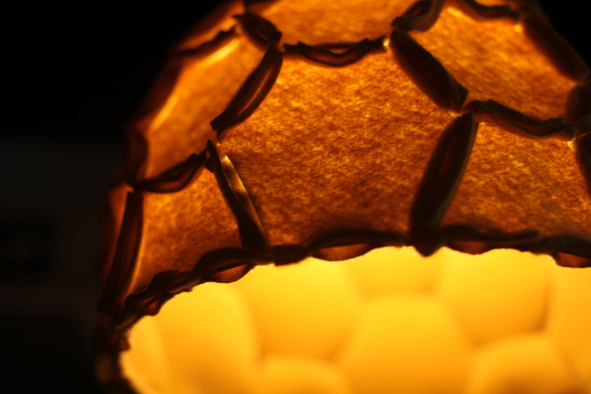 Nectar Half Size Small Shade - NEW COLOURS