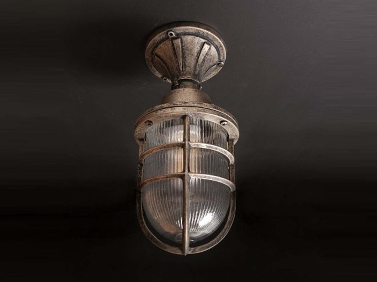 Hephaestus Outdoor Ceiling Light - IP64 rated