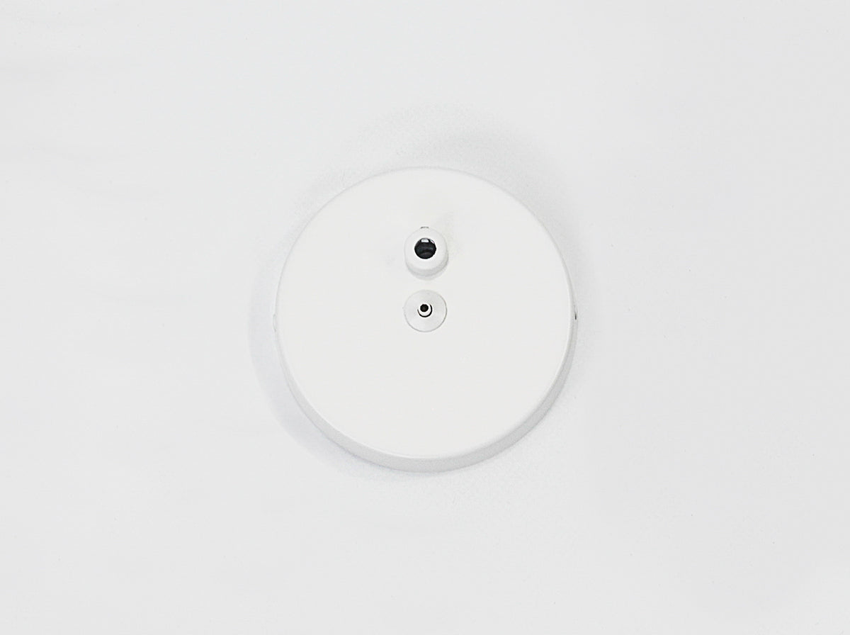 100mm Ceiling Rose with One Wire Port