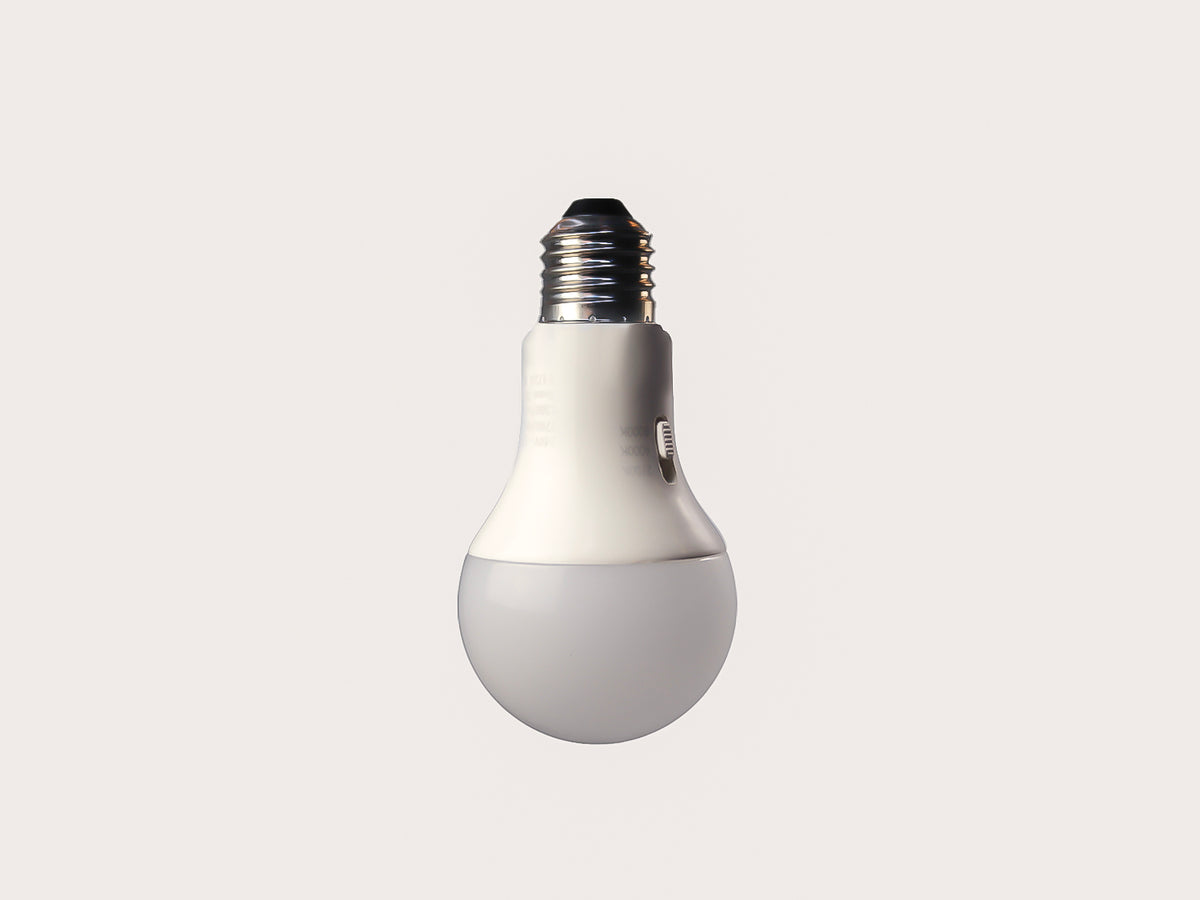 LED - A60 Frosted - 12W Bulb
