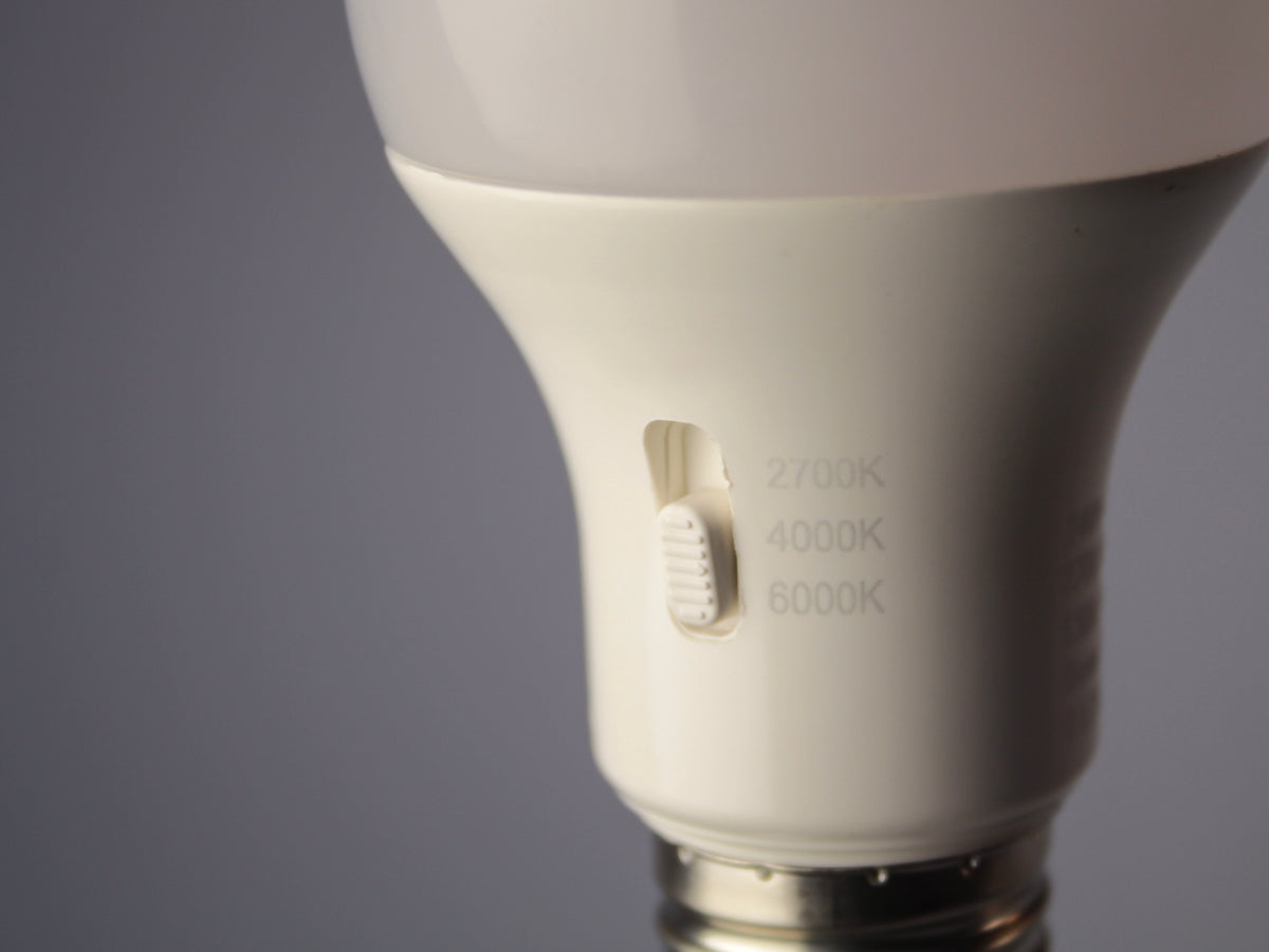 LED - A60 Frosted - 12W Bulb