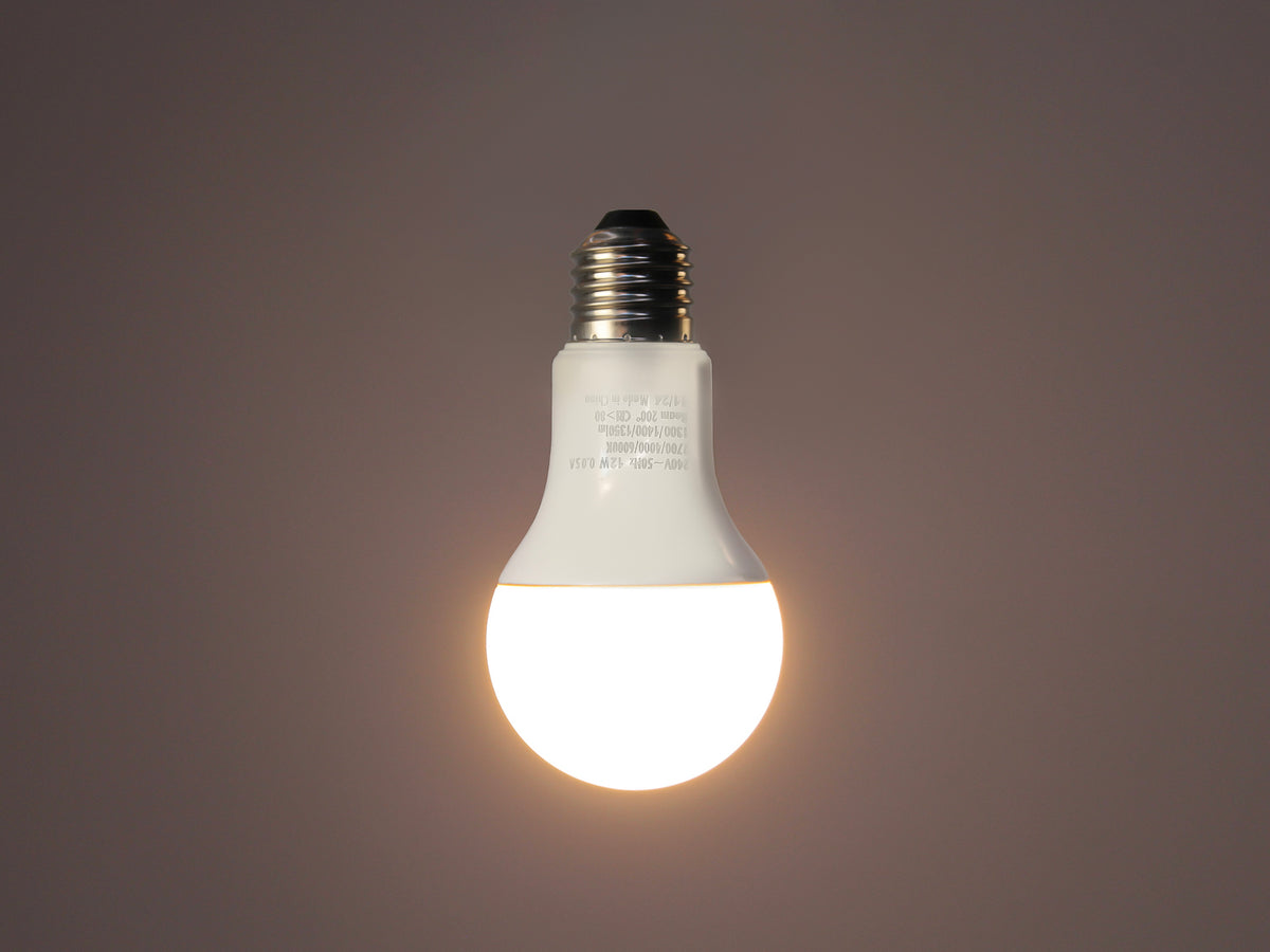 LED - A60 Frosted - 12W Bulb