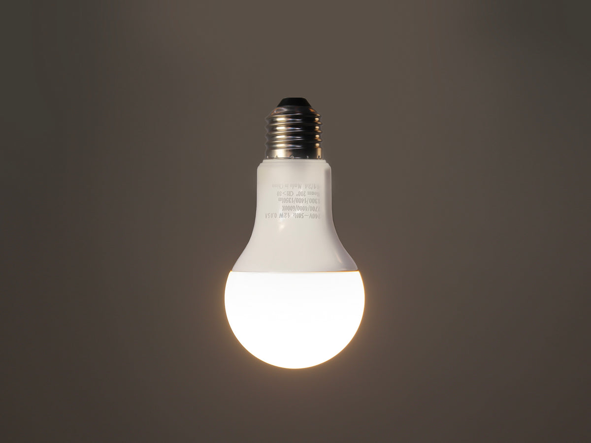LED - A60 Frosted - 12W Bulb