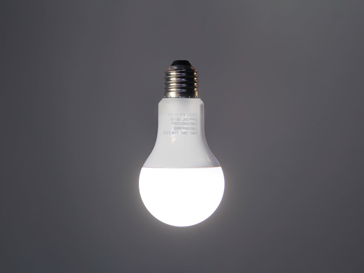 LED - A60 Frosted - 12W Bulb
