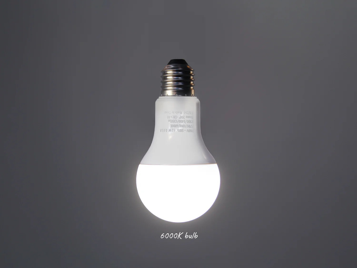 LED - A60 Frosted - 12W Bulb
