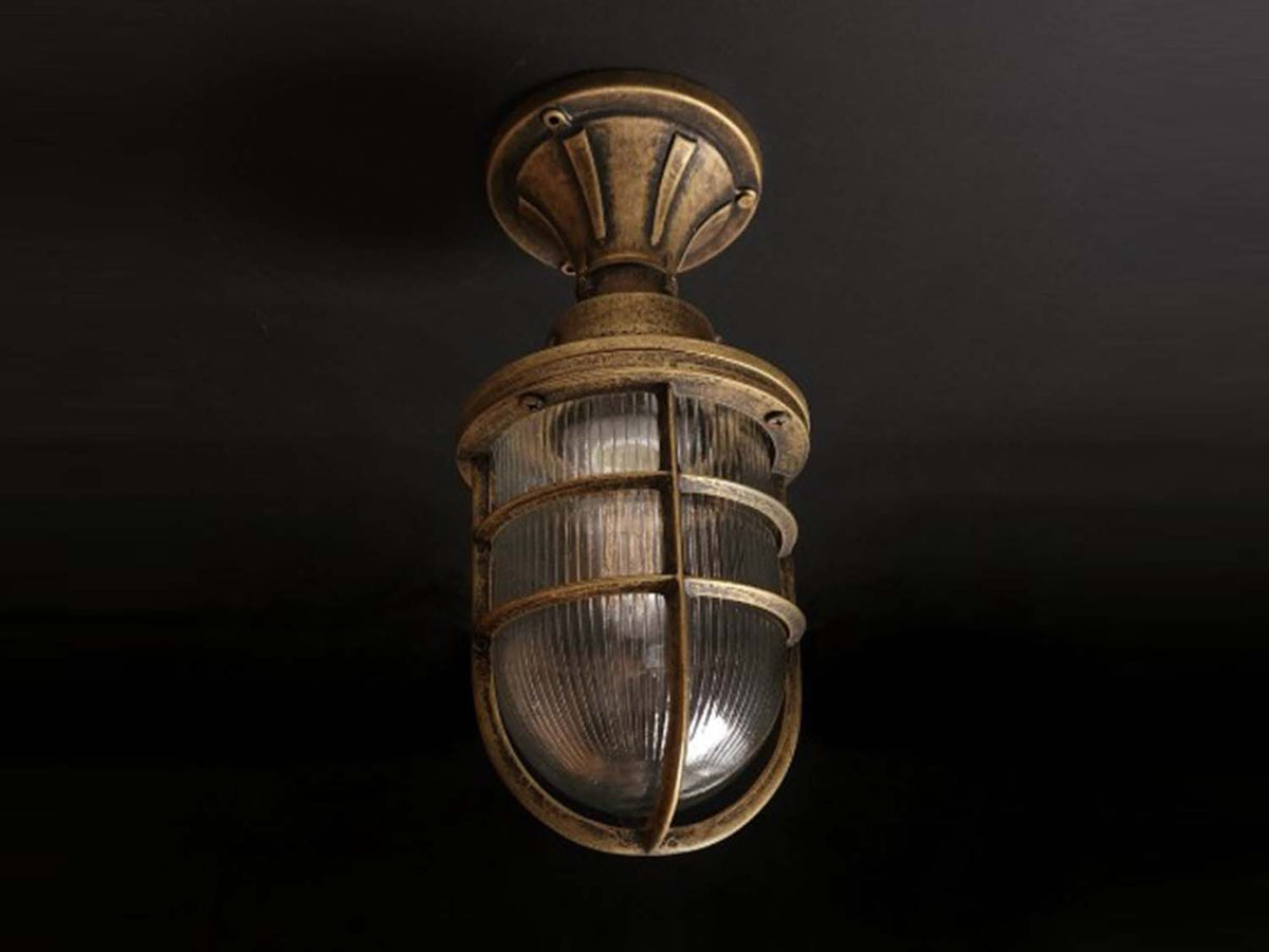 Hephaestus Outdoor Ceiling Light - IP64 rated