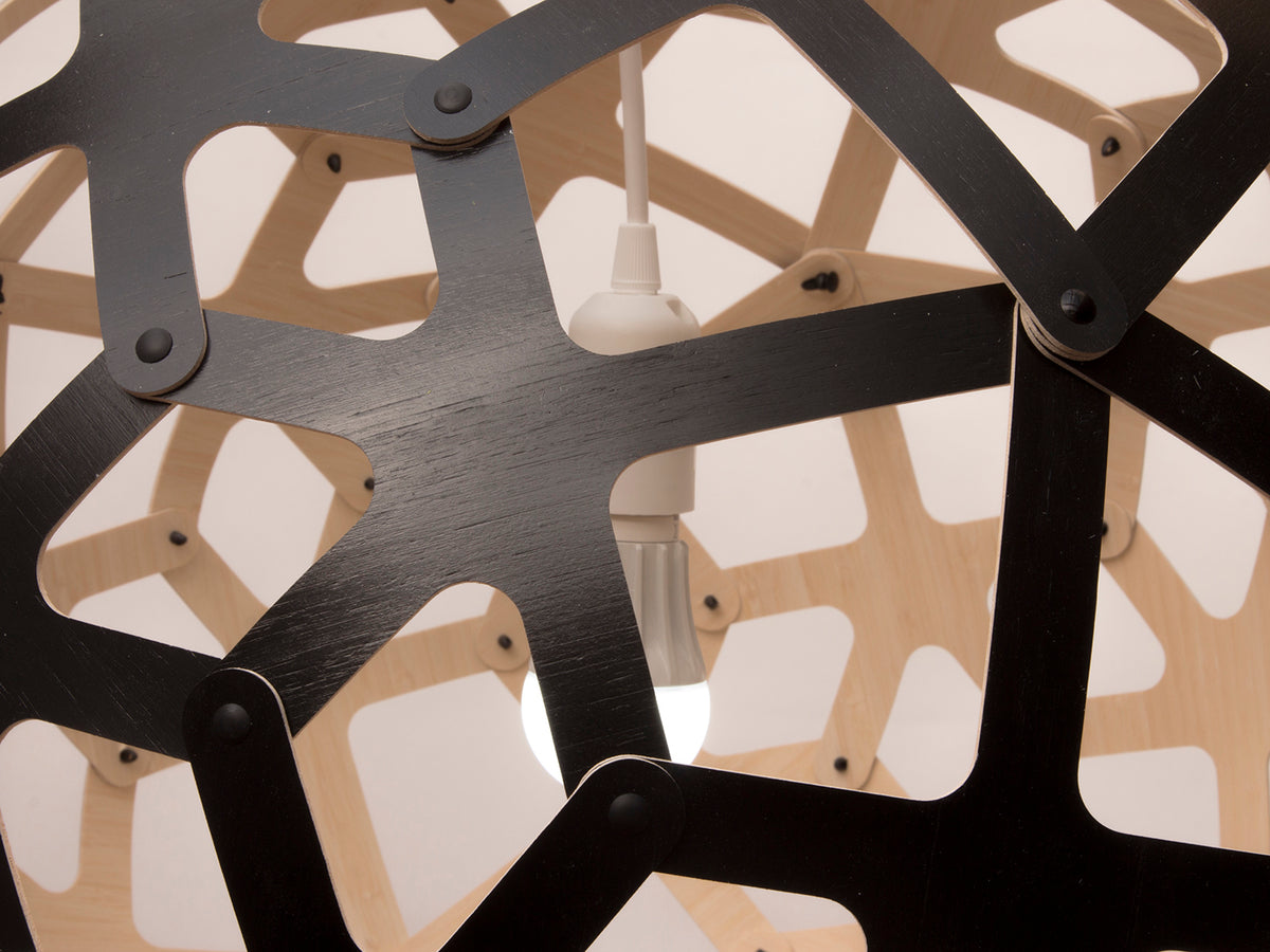 Coral by David Trubridge