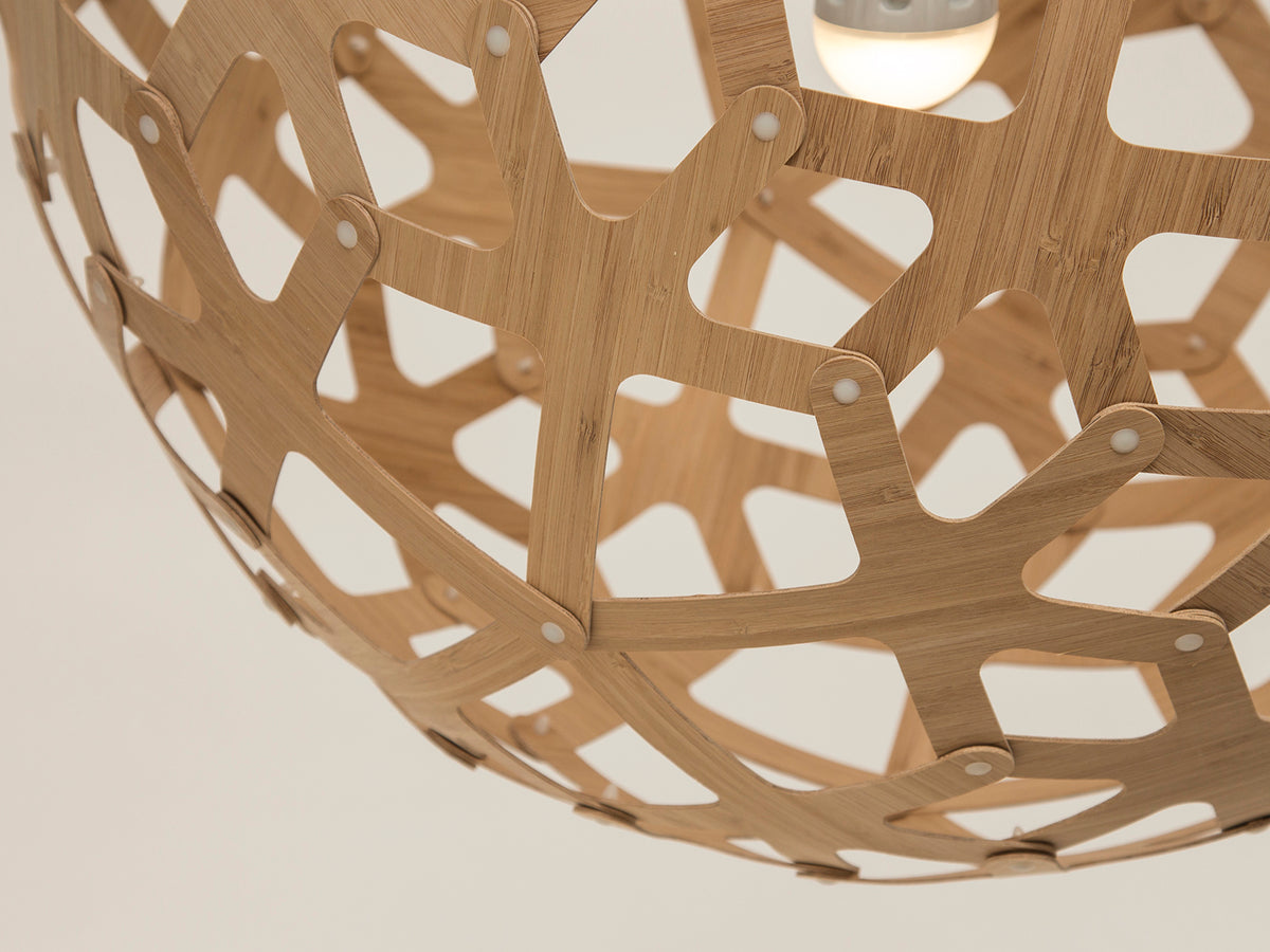 Coral by David Trubridge