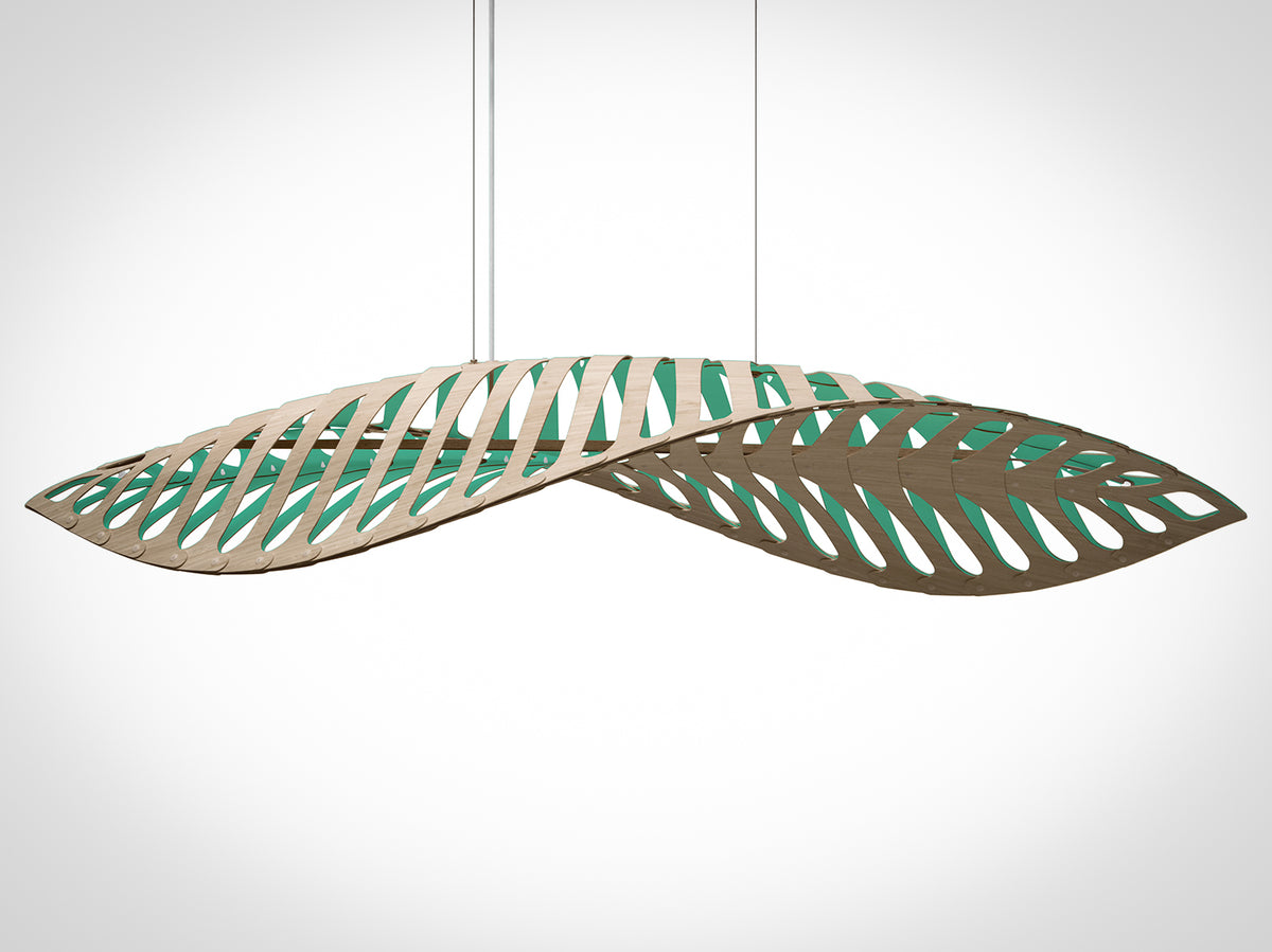 Navicula by David Trubridge