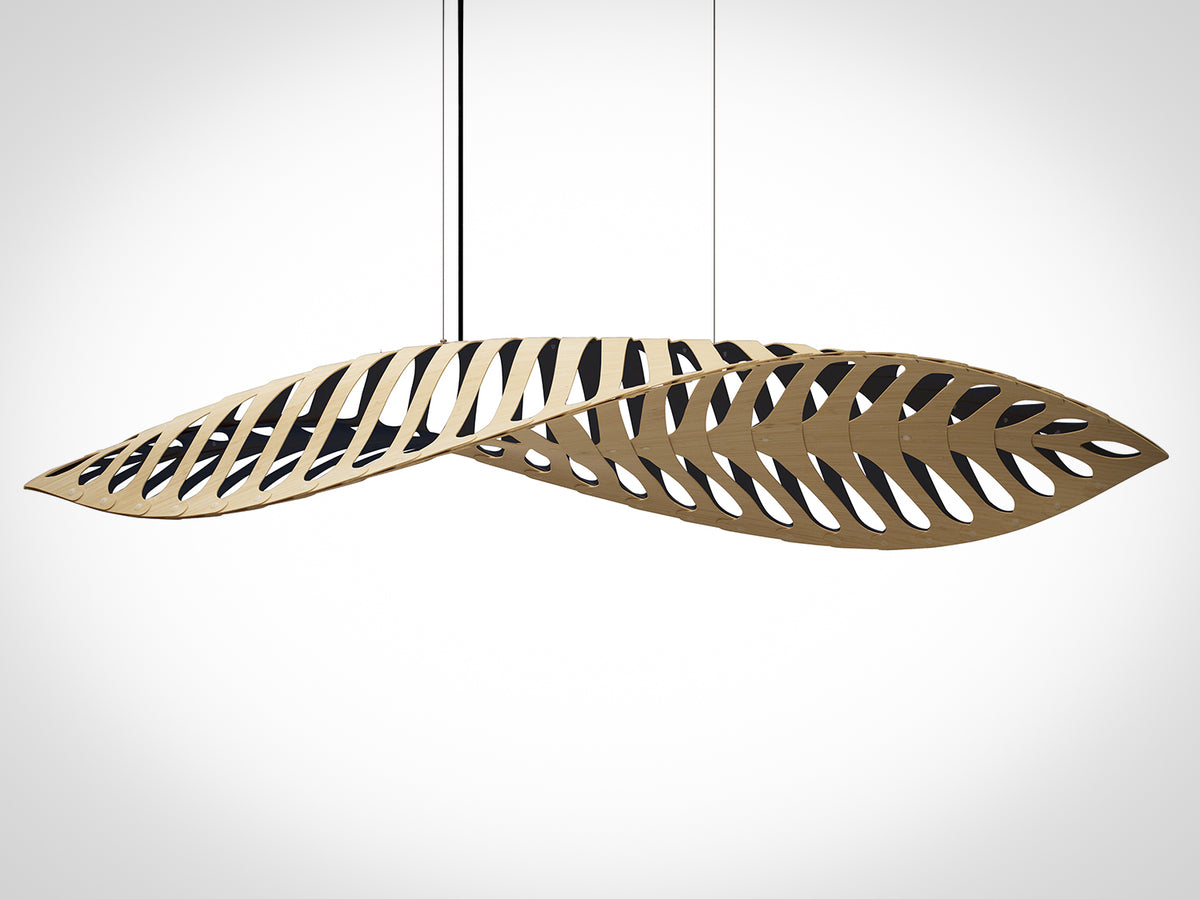 Navicula by David Trubridge