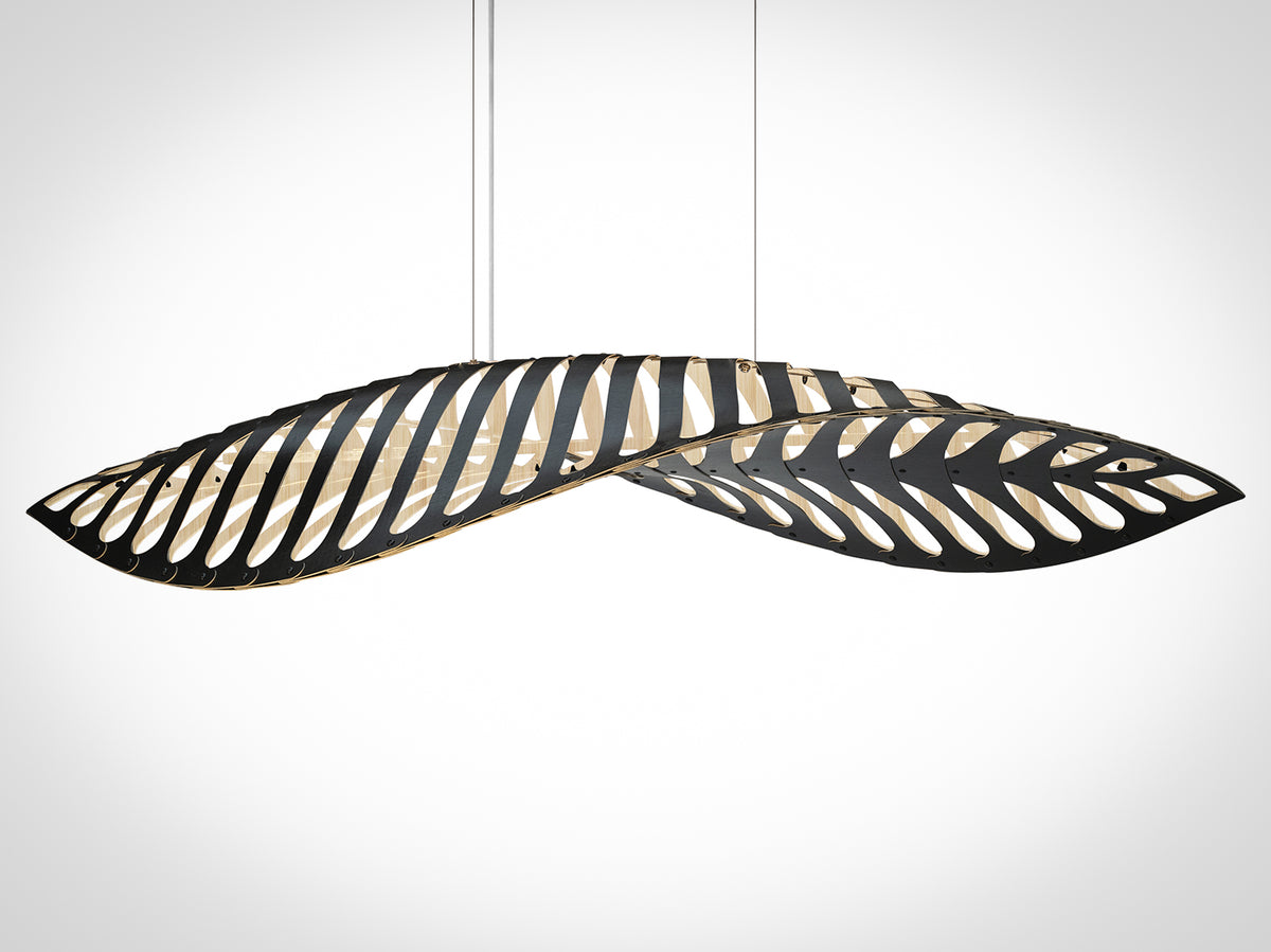 Navicula by David Trubridge