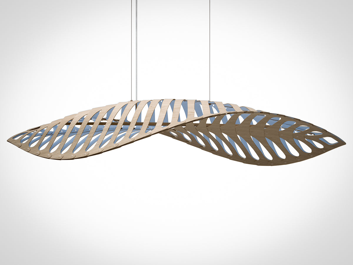 Navicula by David Trubridge