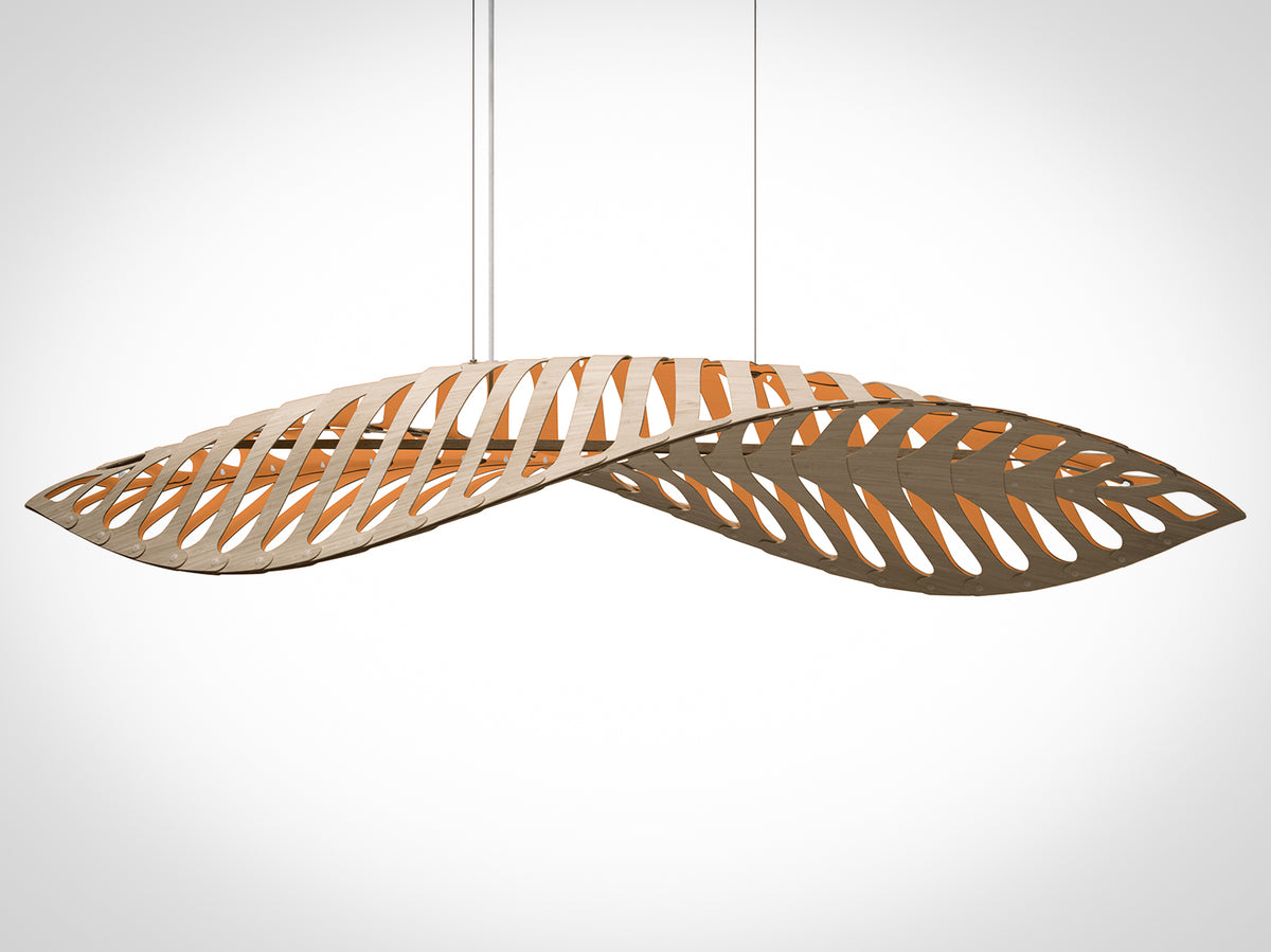 Navicula by David Trubridge