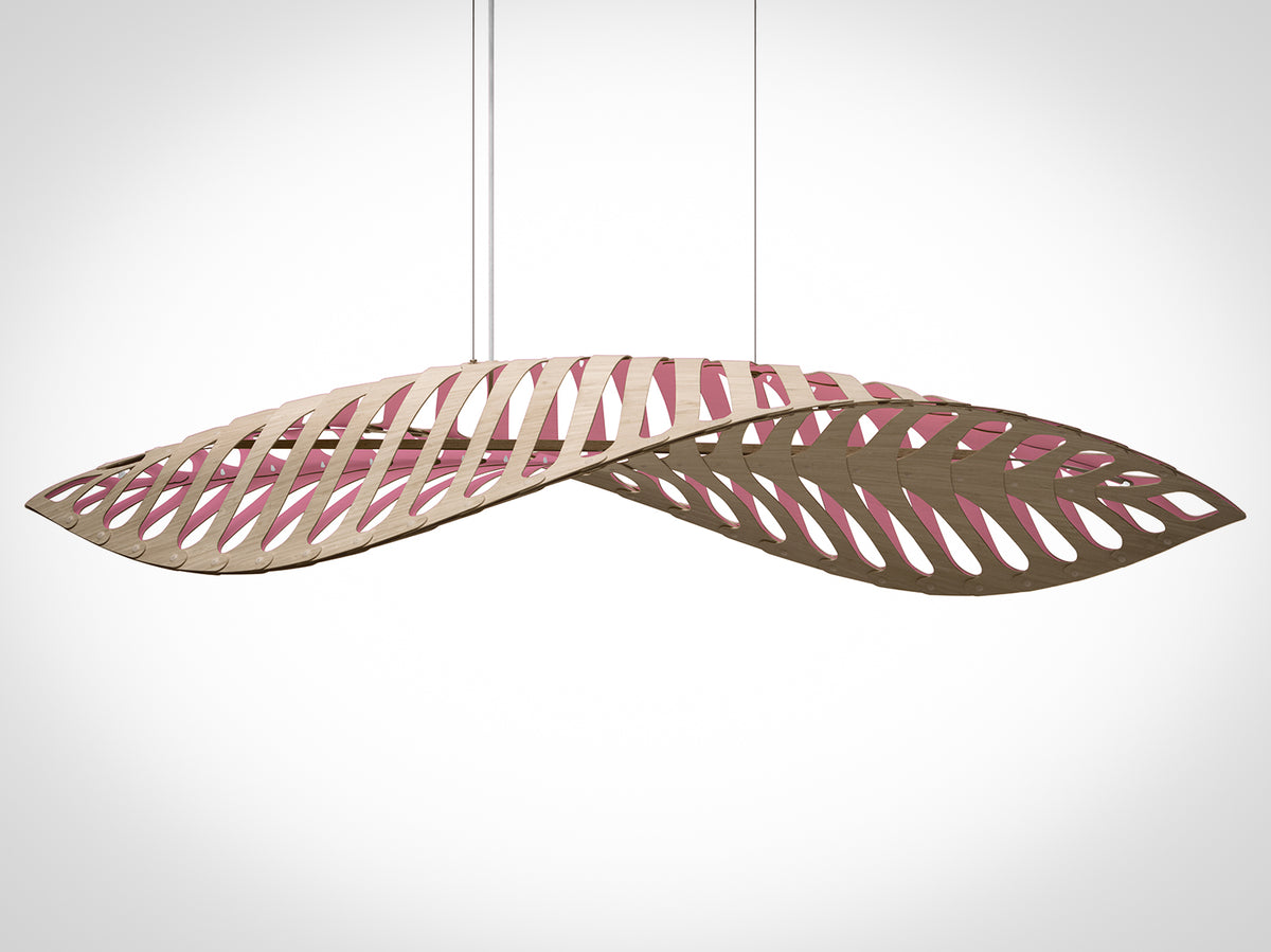 Navicula by David Trubridge