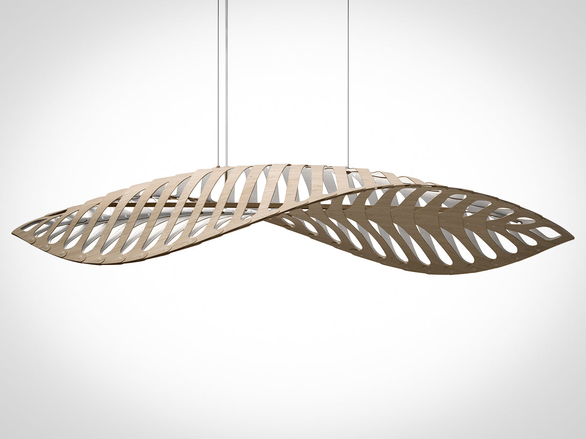 Navicula by David Trubridge