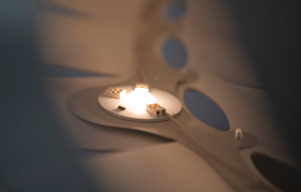 Maru by David Trubridge