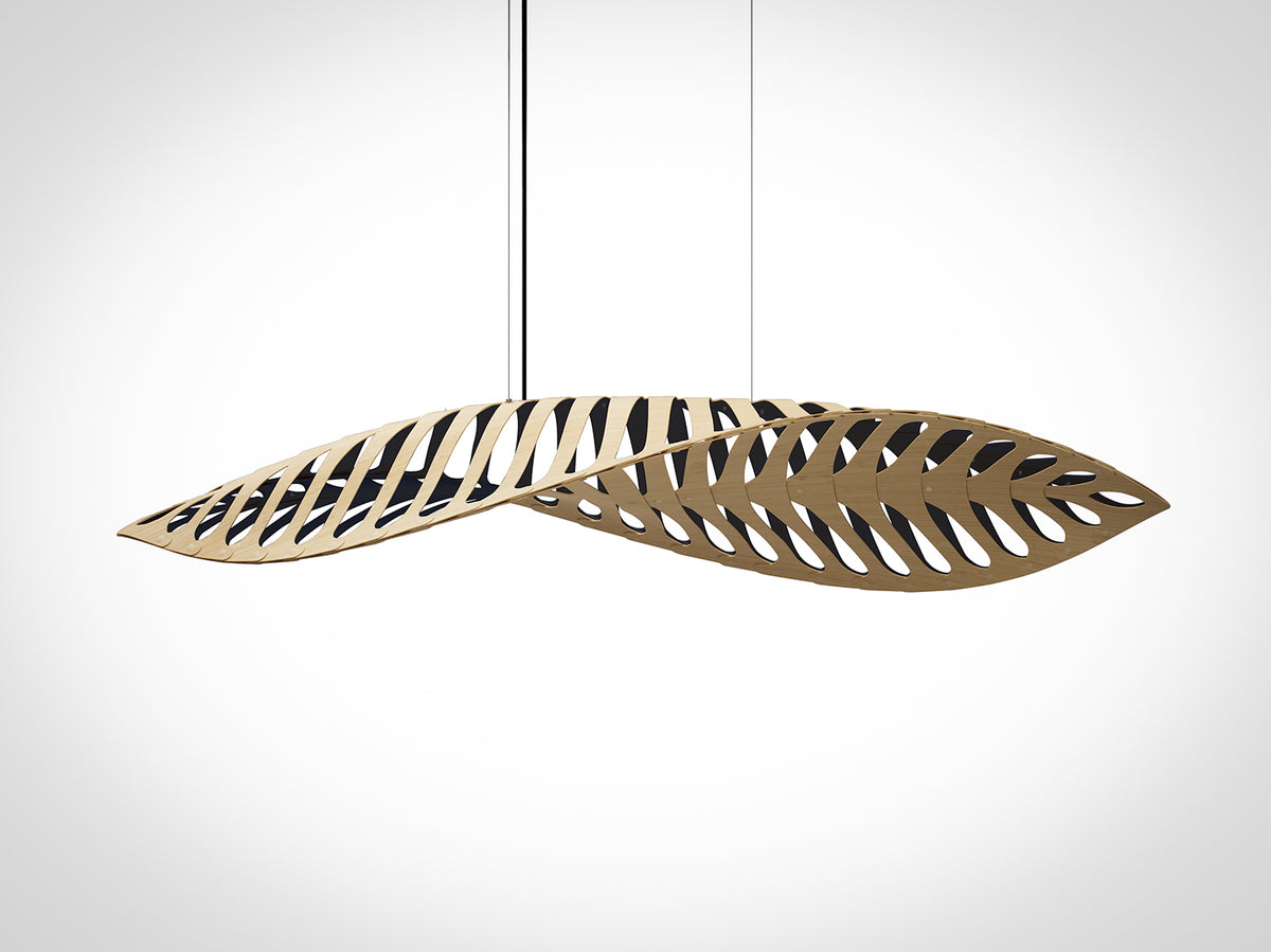 Navicula by David Trubridge