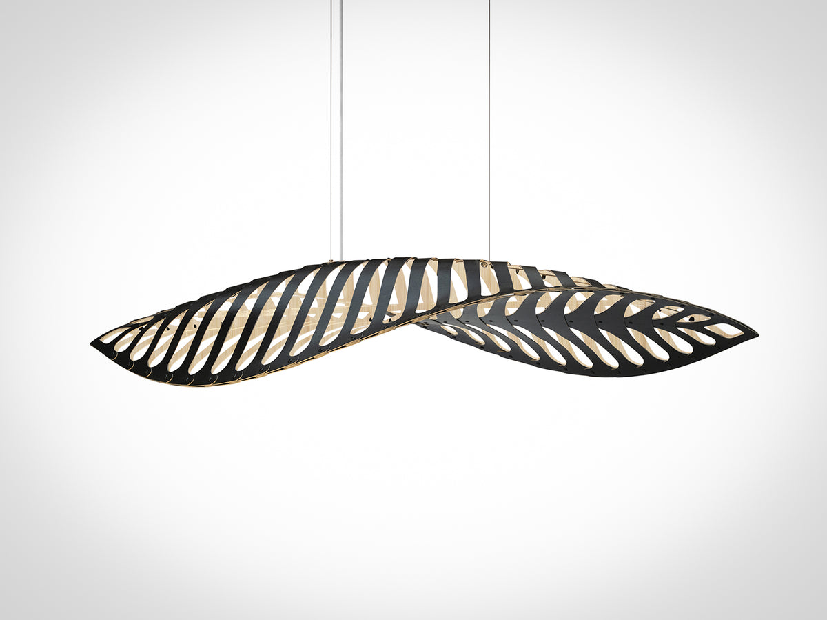 Navicula by David Trubridge