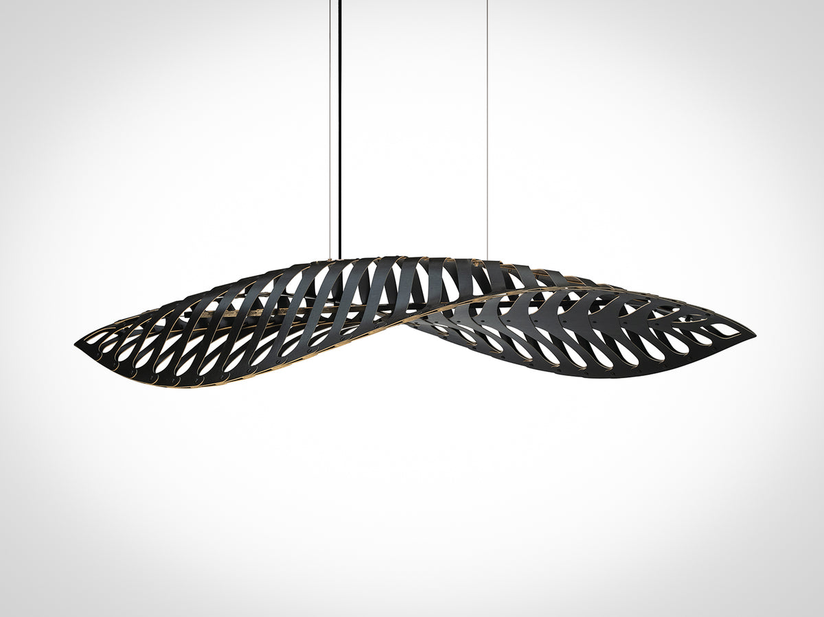 Navicula by David Trubridge