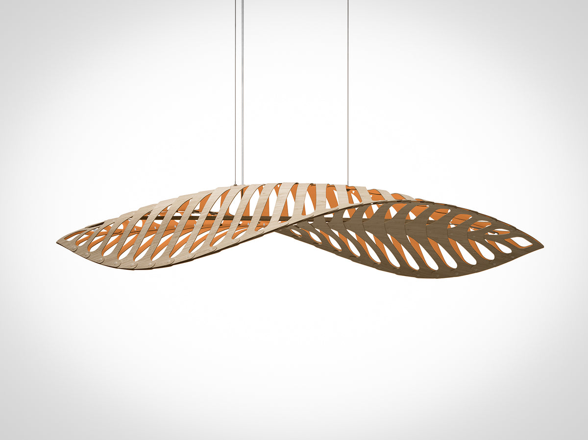 Navicula by David Trubridge