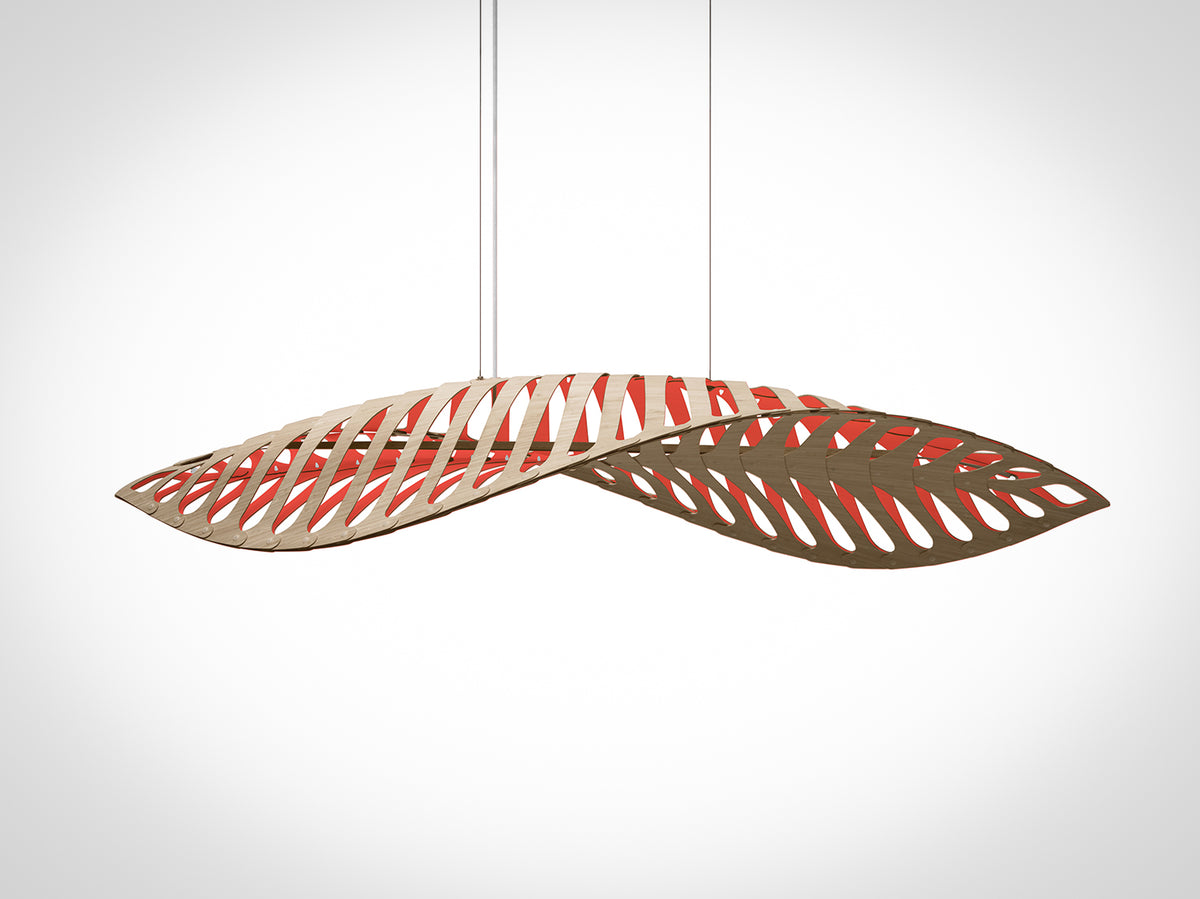 Navicula by David Trubridge