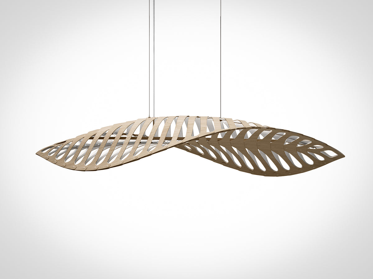 Navicula by David Trubridge