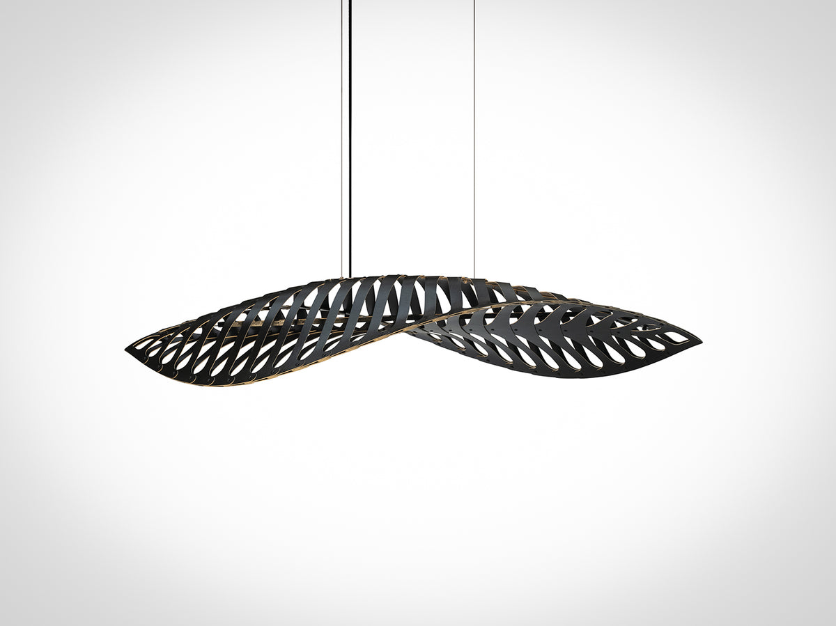 Navicula by David Trubridge