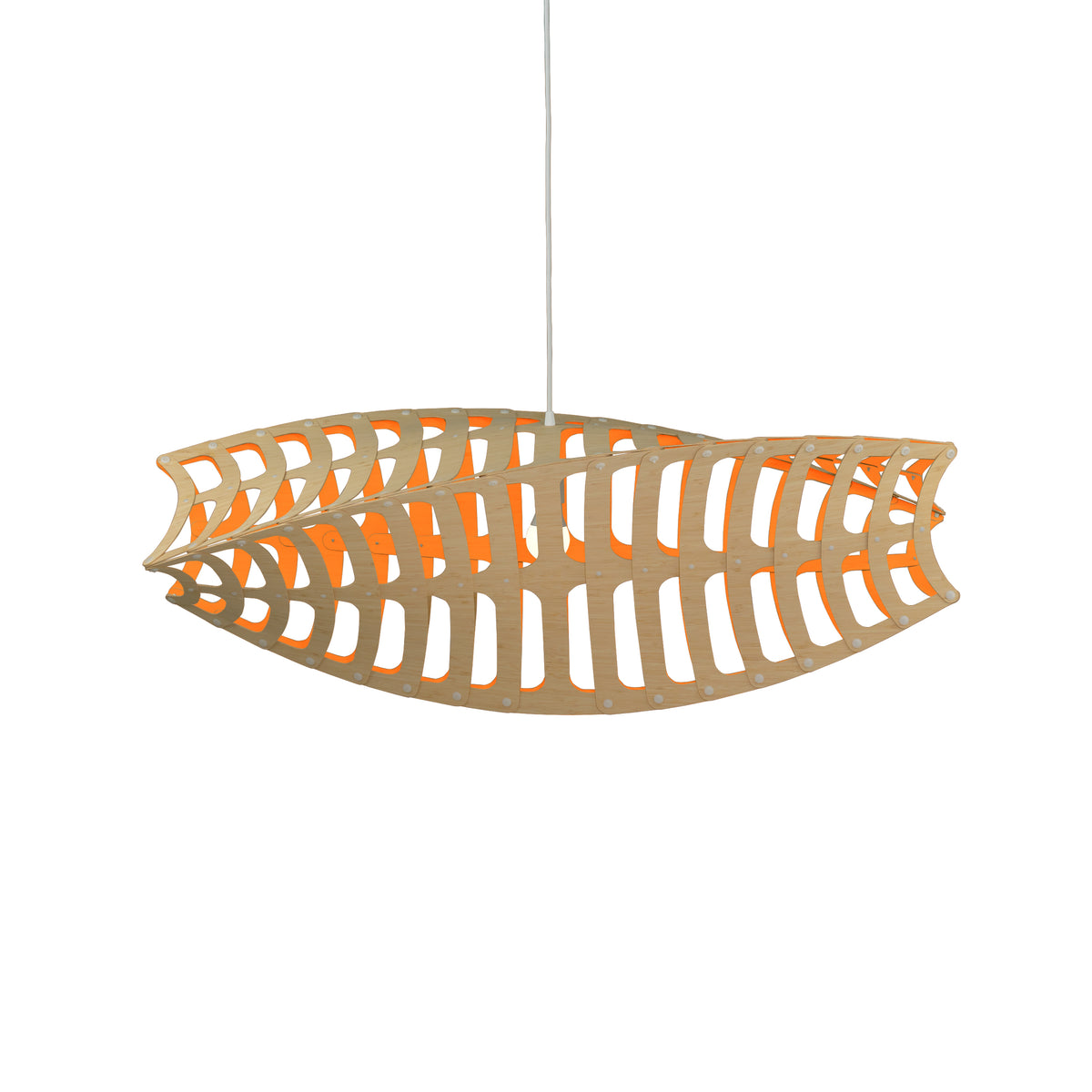 Toru by David Trubridge