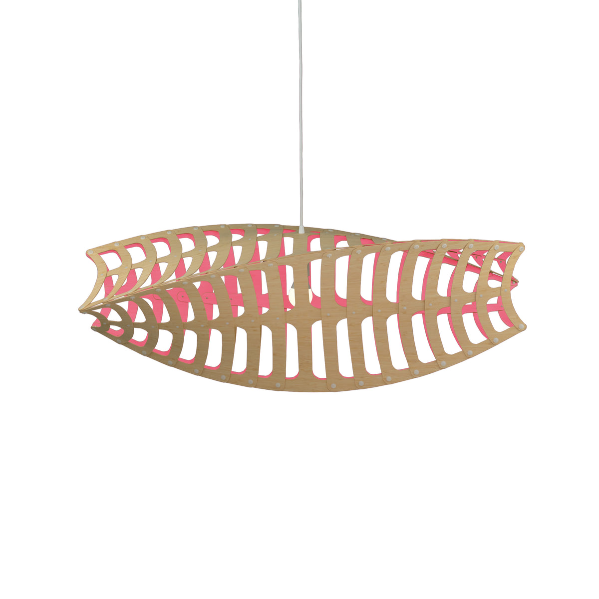 Toru by David Trubridge