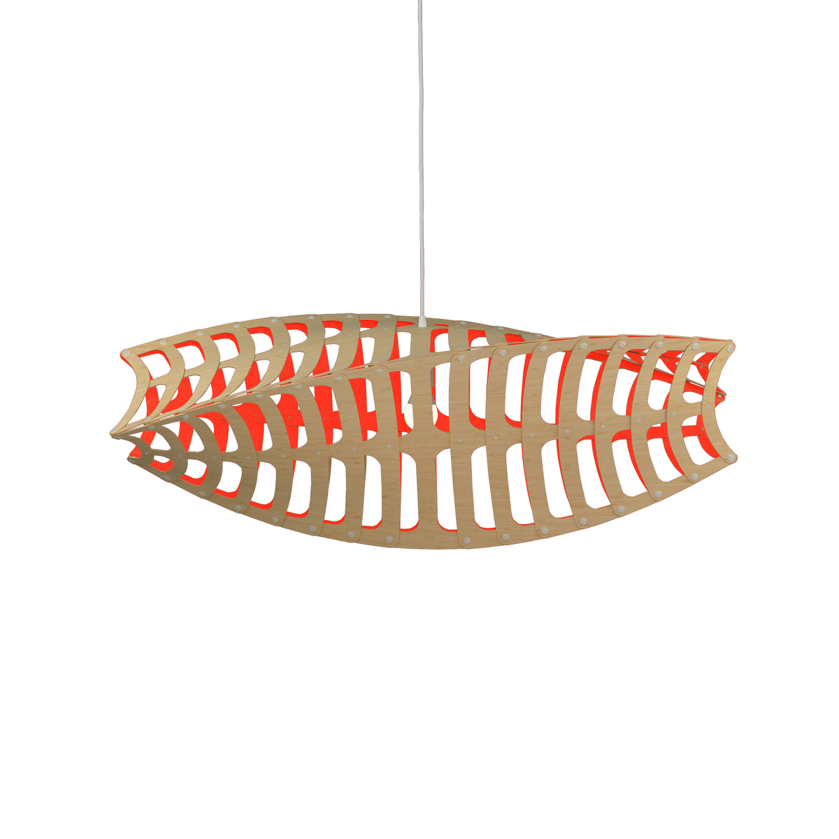 Toru by David Trubridge