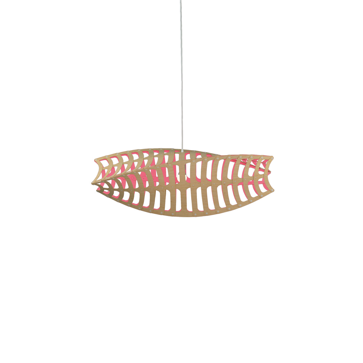 Toru by David Trubridge