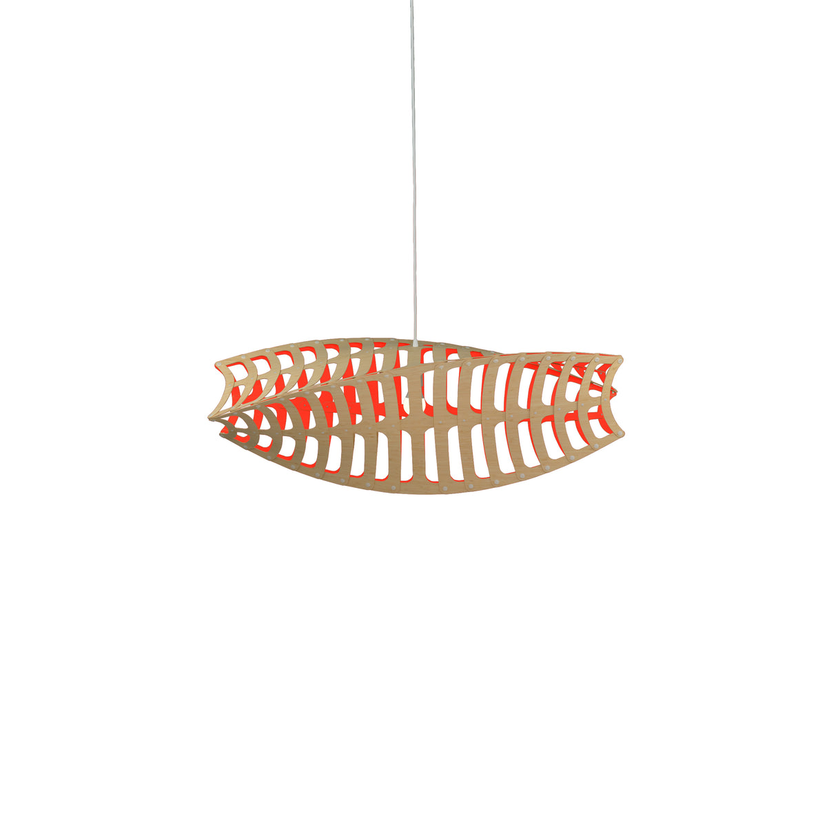 Toru by David Trubridge