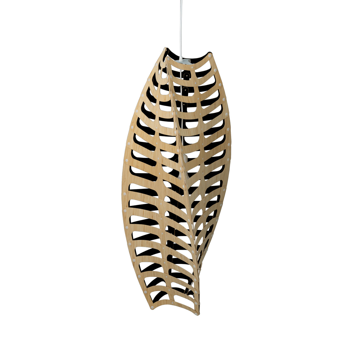 Toru by David Trubridge