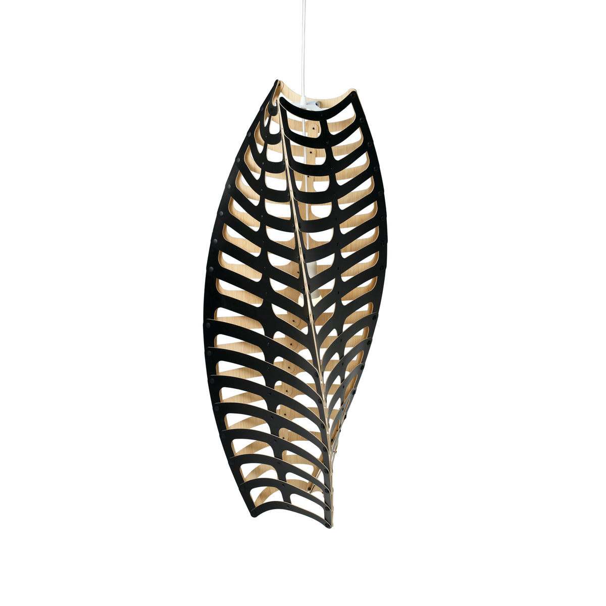 Toru by David Trubridge