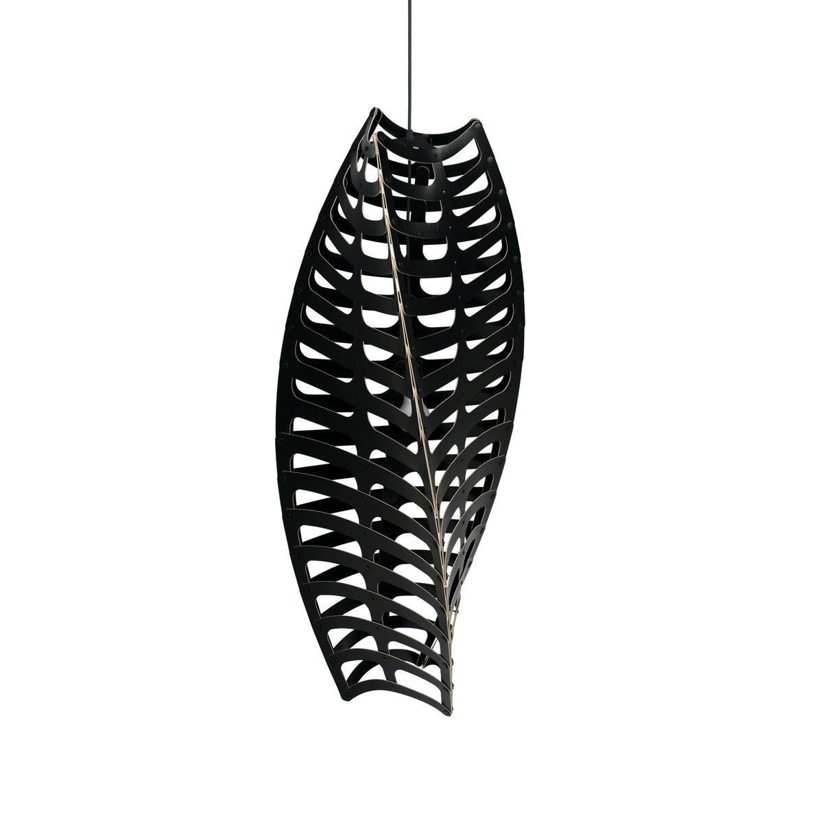 Toru by David Trubridge