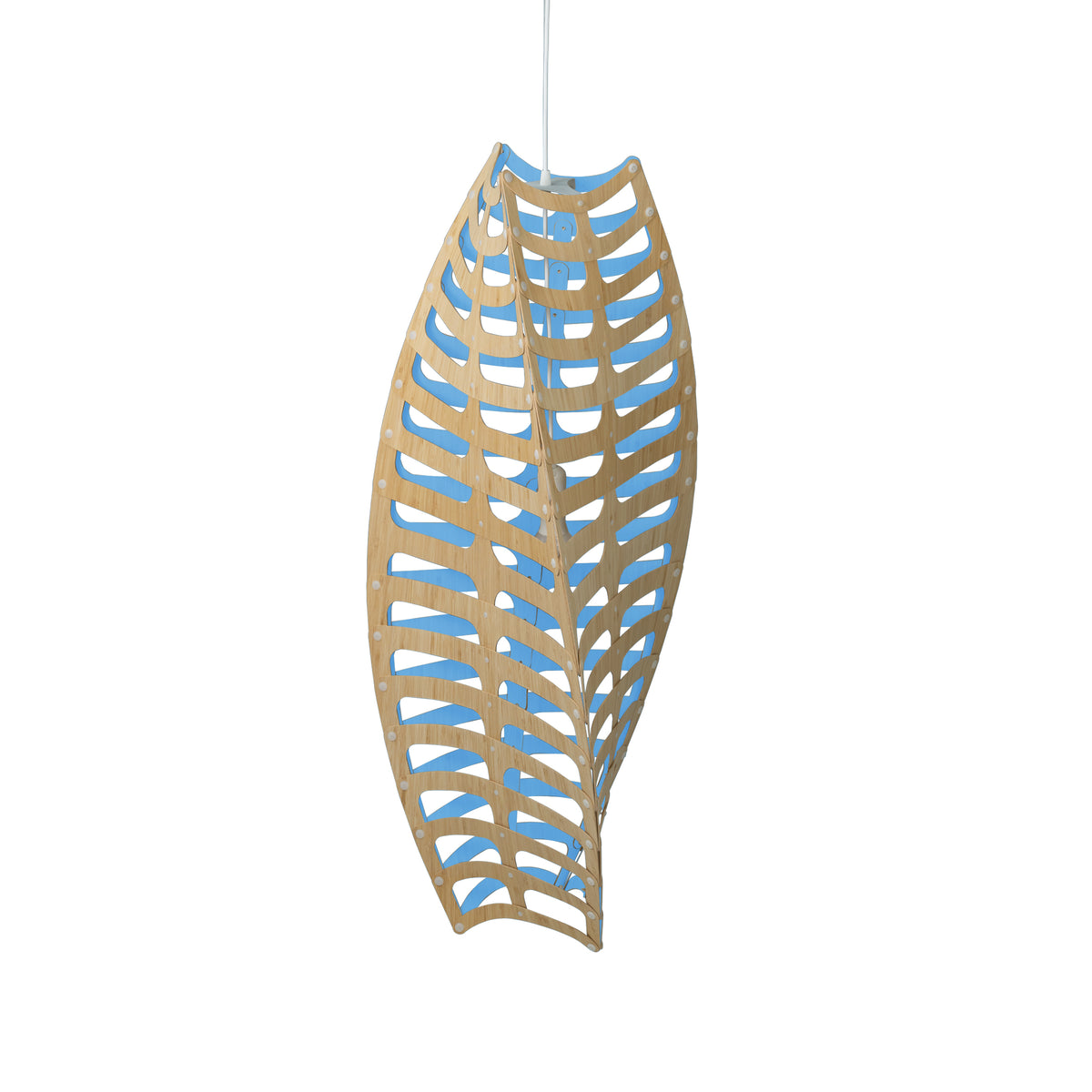 Toru by David Trubridge