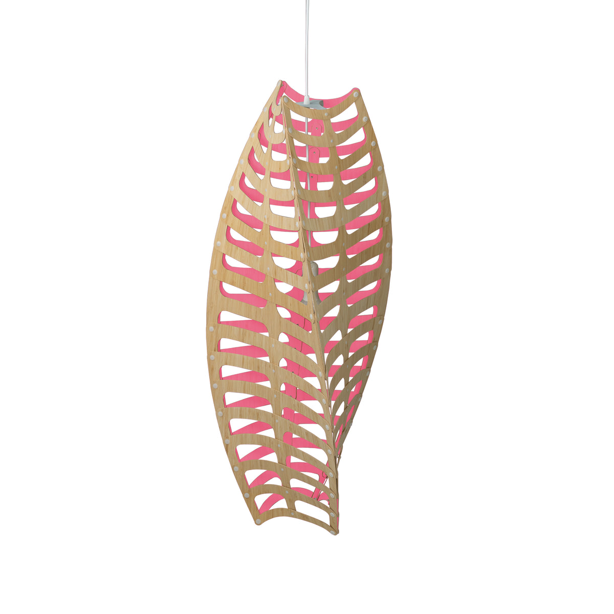 Toru by David Trubridge