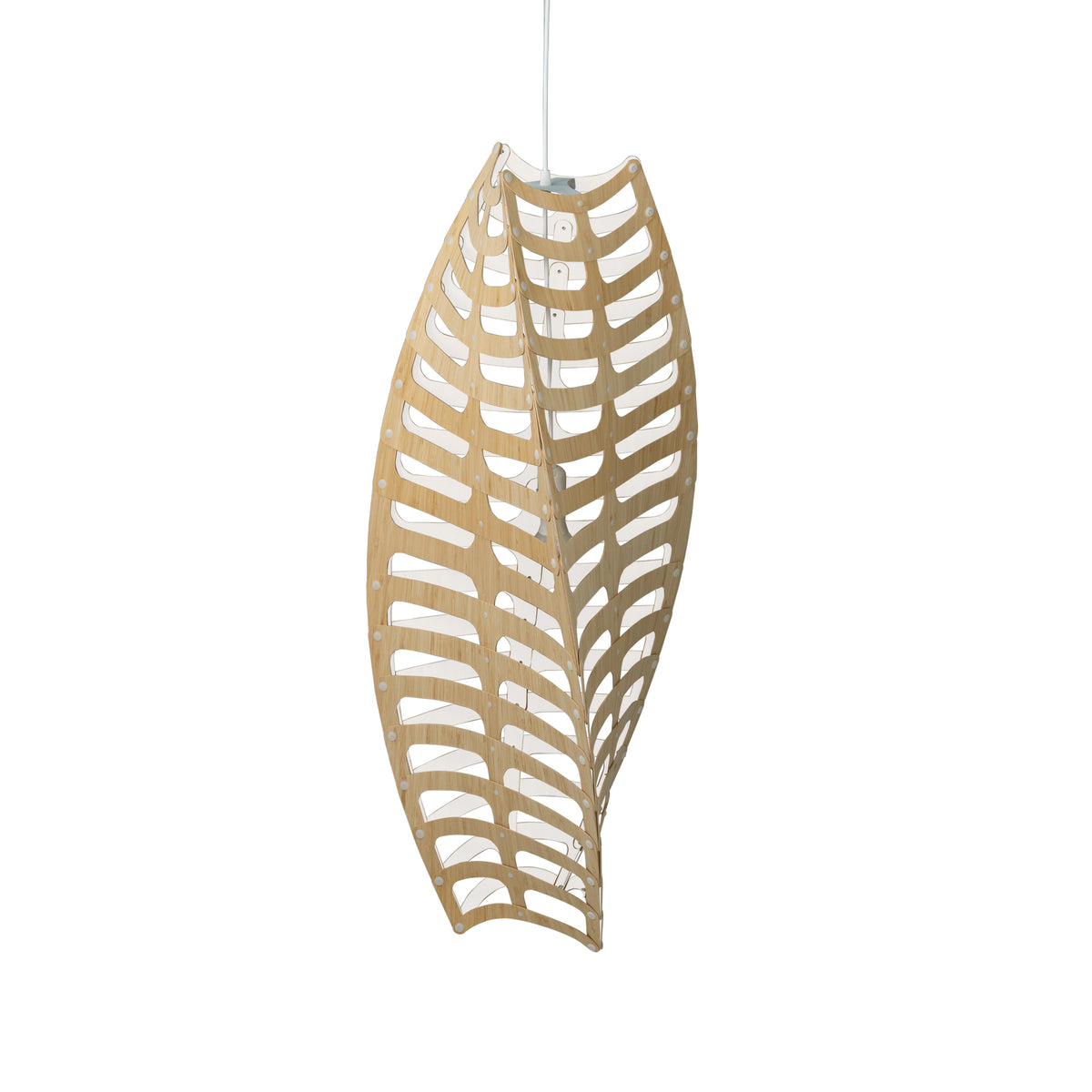 Toru by David Trubridge