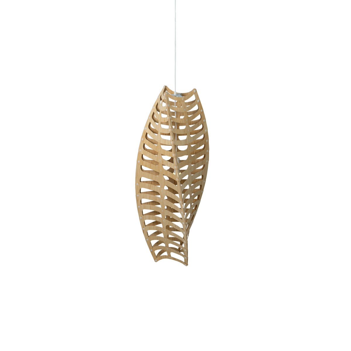 Toru by David Trubridge