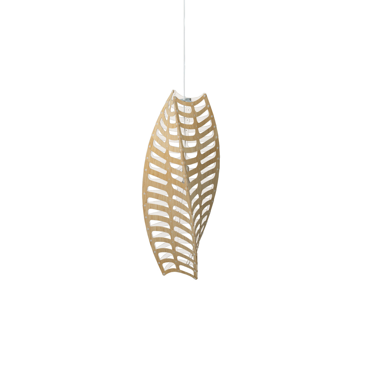 Toru by David Trubridge