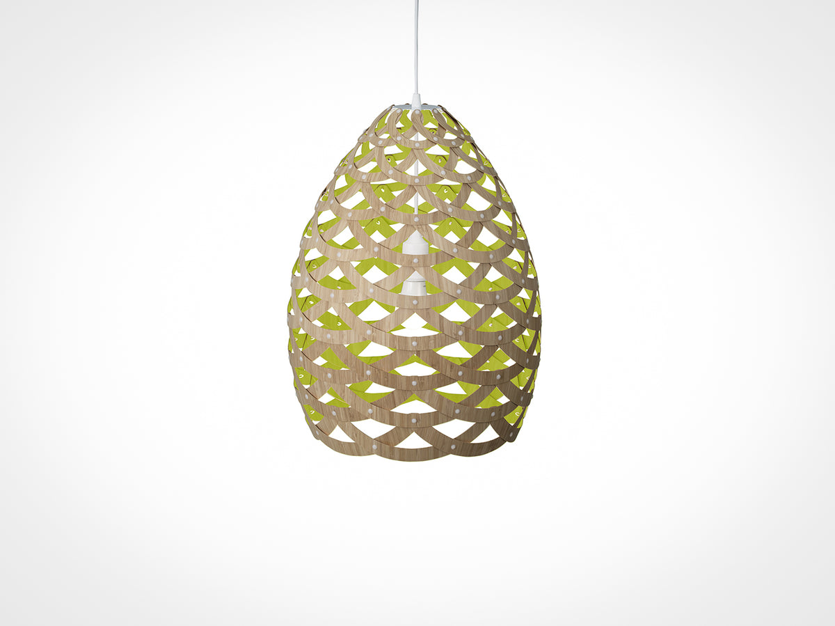 Tūī by David Trubridge.