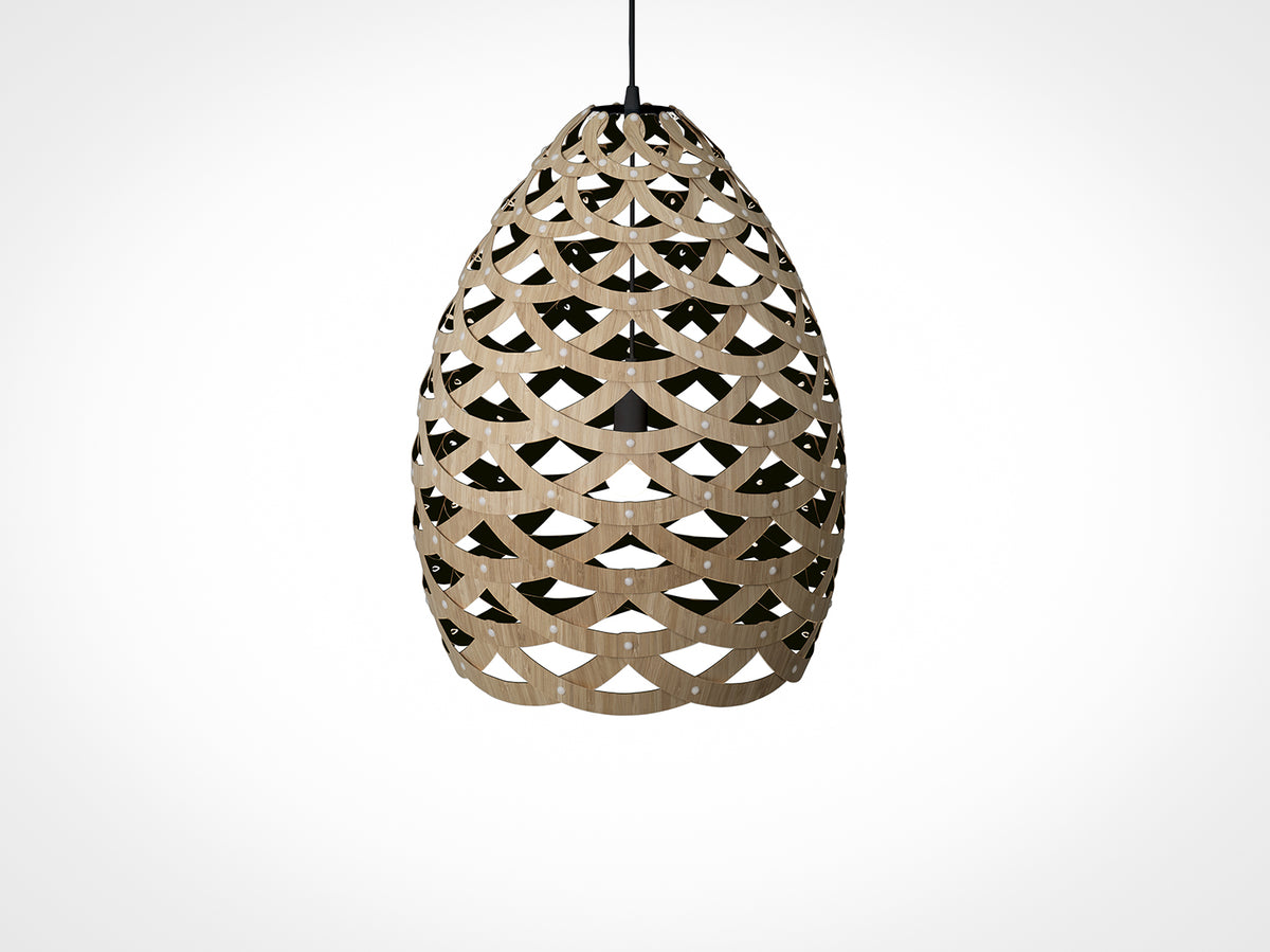 Tūī by David Trubridge.