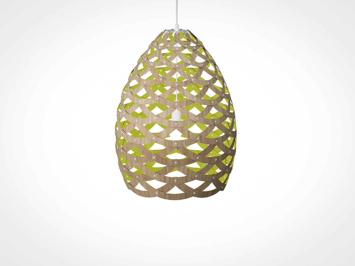 Tūī by David Trubridge.