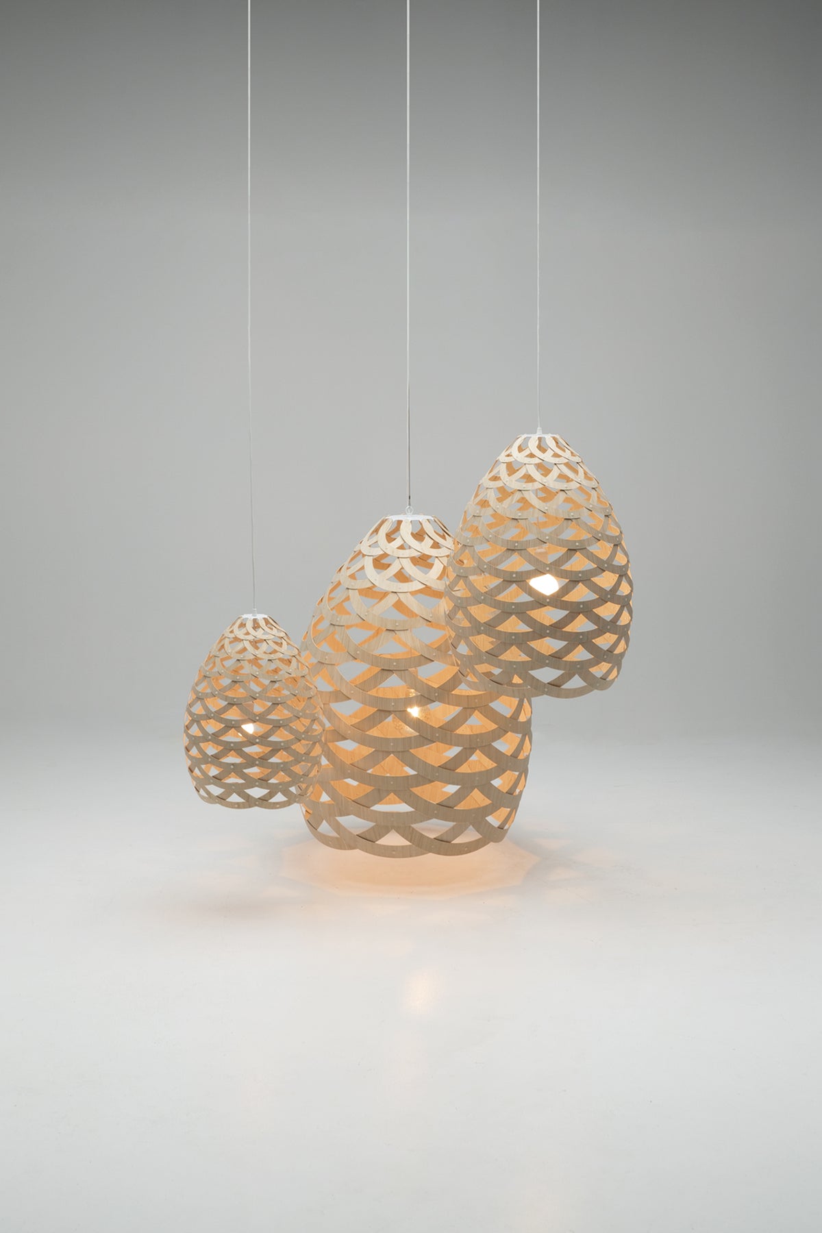 Tūī by David Trubridge.